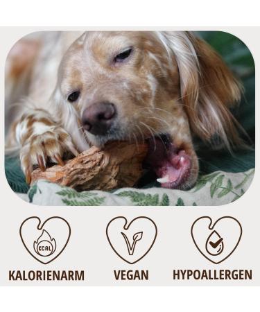 Petlove Chewing Root for Dogs - Natural Hypoallergenic Chewing Tool | XS Size (50-124g) for Puppies - No Additives No Calories No Chemicals - Buy Online on GoSupps.com