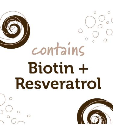 NaturGeeks Chocolate Dipped Protein Bar Variety Pack | Vegan with 15g Protein 11 Vitamins 16g Fiber Magnesium & Zinc for Immune Support No Added Sugar 12 Pack - Buy Online on GoSupps.com