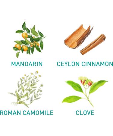 Puressentiel Slimstick Inhaler 1ml - Appetite Regulator - Anti-Snacking - 100% Natural - 5 Essential Oils - Buy Online on GoSupps.com