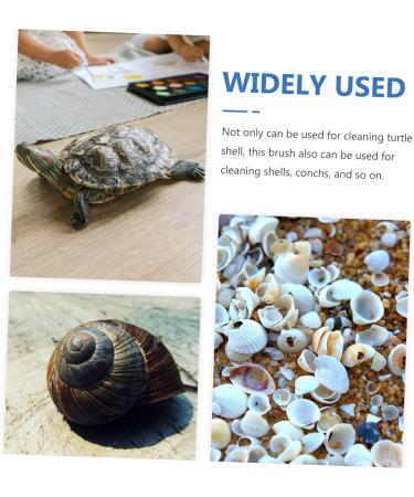 Turtle Shell Cleaning Brush Reptile Cleaning Brush Denture Brush for Shell Grip Cleaning Brush Double-side Tortoise Food Bristle Brush Household Plastic - Buy Online on GoSupps.com