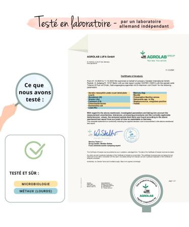 Vitamine B Complex | Dosage Elev | Avec 8 Vitamines B (dont B12 Biotine Niacine Acide Folique) + Choline | nergie + Anti-Fatigue* | VEGAN | Vegavero  - Buy Online on GoSupps.com