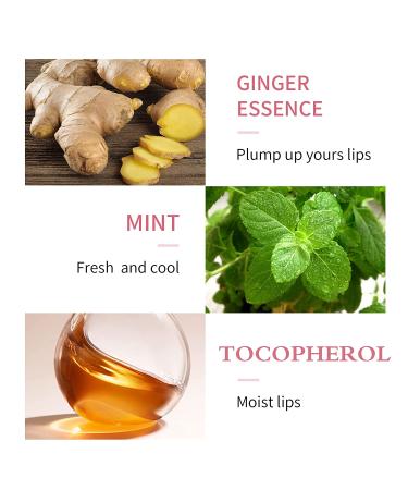 KISSIO Lip Plumper Set - Natural Lip Care Gloss for Beautiful, Moisturized Lips - 4PCS, 5.5ml Each - Buy Online on GoSupps.com