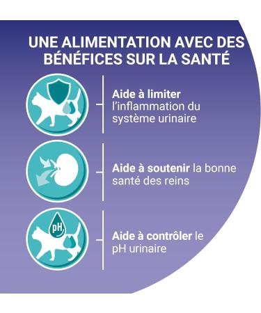 PURINA ONE Bifensis Urinary System Chicken and Wheat Dry Food for Adult Cats 450 g Meal Bag | Pack of 10 - Buy Online on GoSupps.com