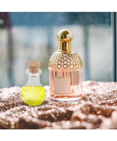 FOMIYES 10pcs Perfume Bottle Wish Bottles with Cork Mini Drift Bottle Small Wishing Bottle Cordyceps Glass - Buy Online on GoSupps.com