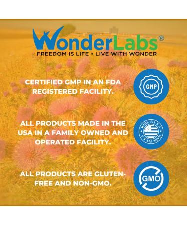 Wonder Labs Silymarin Milk Thistle Supports Healthy Liver Detox - 250 Capsules 250 Count (Pack of 1) - Buy Online on GoSupps.com