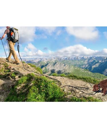 Joytale Reflective Drag Line for Dogs | 15m Nylon Dog Leash with Padded Handle & 2 Carabiner Hooks | Ideal Training Line for Puppies & Small Dogs | 1 Pack - Black - Buy Online on GoSupps.com