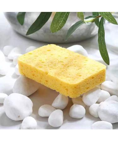 40pcs Kitchen Cleaning Sponge Natural Pulp Cotton Dishwashing Sponges Cleaner for Kitchen Bathroom Cleaning Tools Sponge Wipes for Kitchen - Buy Online on GoSupps.com