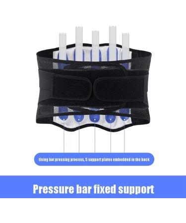 Samnuerly Adjustable Lower Back Support Belt - X-Large | Breathable Mesh | Sports Protection for Men & Women | Ideal for Lordosis - Buy Online on GoSupps.com