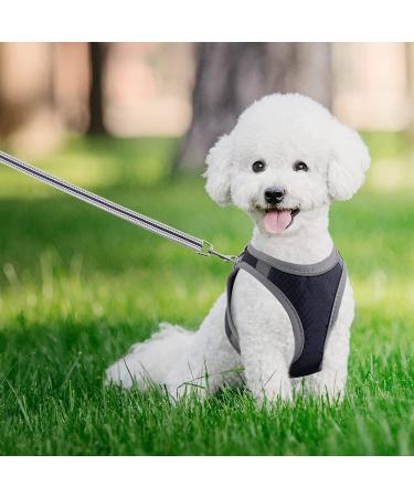 Small Puppy Dog Harness Set | Super Light No Pull Design | All Weather Comfort | Reflective | Black XXS Size - Buy Online on GoSupps.com