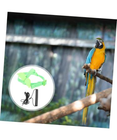 Beavorty 2 Sets Bird Leash Lizard Leash Pet Bird Harness and Leash Chicken Harness for Birds Parrot Bird 12X6X1.3CMx2pcs Greenx2pcs - Buy Online on GoSupps.com