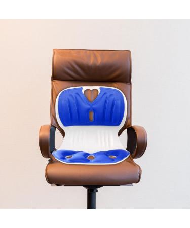 MERIGLARE Lumbar Support Pillow for Sitting Comfort Blue - Buy Online on GoSupps.com