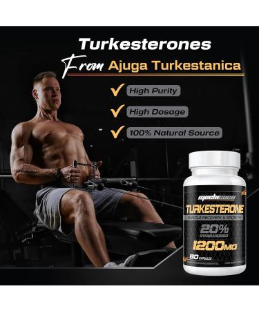 Turkesterone Supplement 1200mg - High Strength 20% Turkesterone Extract for Muscle Growth - Vegan & Additive-Free - 60 Count - Buy Online on GoSupps.com