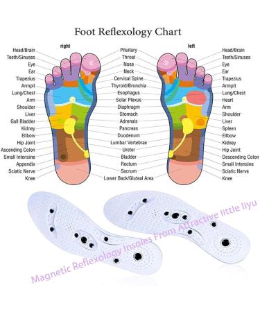 Women's Gel Magnetic Pressure Point Shoe Inserts - Comfortable & Washable Insoles (10.43 Inches) - Buy Online on GoSupps.com