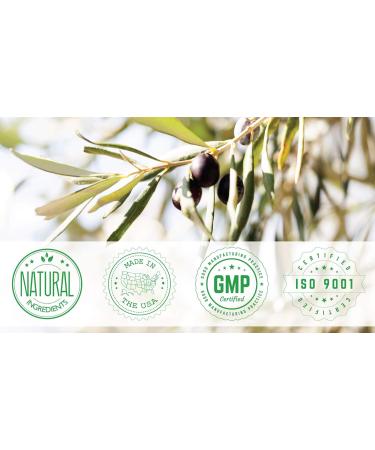 Olive Babies 3 In 1 Conditioning Shampoo and Body Wash 14 Ounce - Buy Online on GoSupps.com