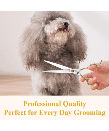 JASON Professional Dog Grooming Scissors - 7.5 Inch Straight Paw Scissors for Dogs & Cats - Buy Online on GoSupps.com
