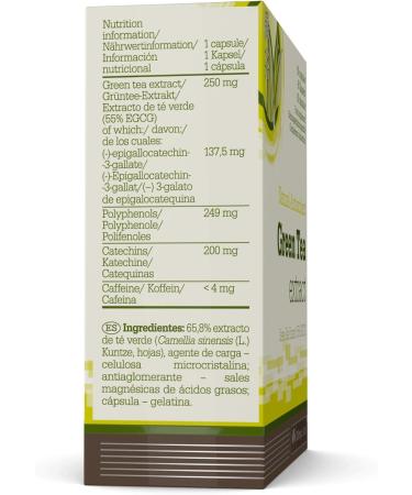 Olimp Green Tea Extract - 60 Capsules Blister Box | Premium Weight Loss & Antioxidant Support | International Shipping Available - Buy Online on GoSupps.com