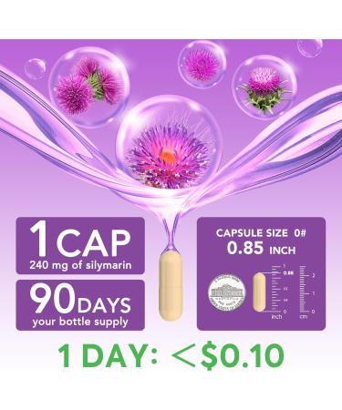 Surebounty Milk Thistle, 300 mg, 30X Concentrated Seed Extract with 80% Silymarin, Liver Cleanse Detox for Men + Women, Once Daily, 90 Veggie Caps - Buy Online on GoSupps.com