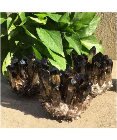 1pc Natural Crystals Smoky Quartz Cluster Freeform Reiki Stones Room Home Office Aquarium Decoration Accessories Gemstone Home Decoration (Size : 400-450g) - Buy Online on GoSupps.com