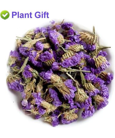 PlantGift Don't Forget Me Flower/Forget-me-not Flower Tea 30G/1oz Dried Myosotis Sylvatica Flower Potpourris Flowers DIY Candle Making Wedding Decoration - Buy Online on GoSupps.com