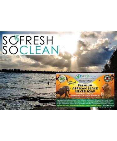 Organic Colloidal Silver Soap with Coffee & Cinnamon Oils - 4 oz Bar for Germ-Fighting & Exfoliation - Buy Online on GoSupps.com