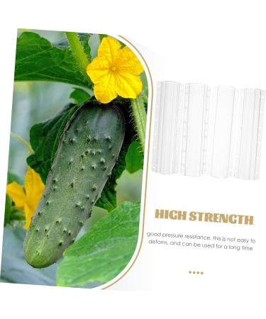 POPETPOP 4pcs Shaped Growth Mold Ginseng Transparent Fruit Shaping Mold Acrylic Small Fruit Vegetable - Buy Online on GoSupps.com