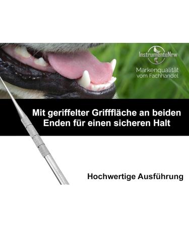 Stainless Steel Tartar Remover for Dogs | Pet Tooth Cleaner & Scaler - Type 10 Replacement - Buy Online on GoSupps.com
