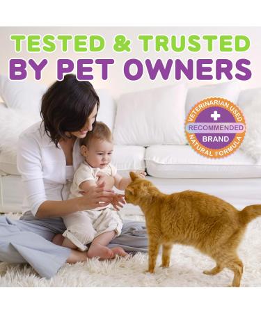 2 PCS L-Lysine Supplement for Cats, Immune & Respiratory Support Liquid with Natural Ingredients, Chicken Flavor Dietary Supplement for Skin, Coat & Eye Health, 2 fl oz - Buy Online on GoSupps.com