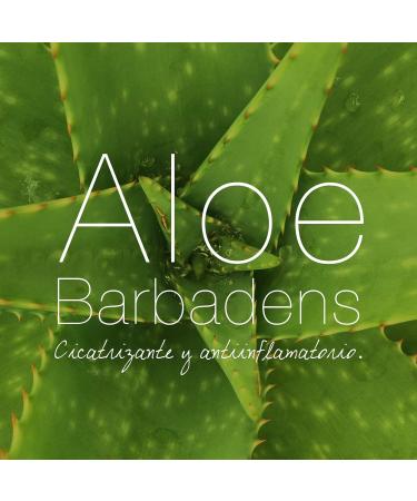  MAYSTAR Maystar Skincare | Anti-Acne Sebo-Balanced Facial Cleansing Gel | Facial Soap | Oil Balance Range 100 ml - Buy Online on GoSupps.com