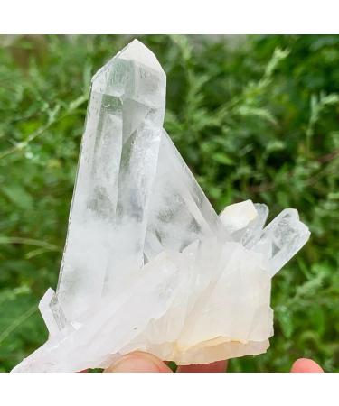 Natural White Quartz Crystal Cluster Specimen ERTEYIN (Size : 120-150g) - Buy Online on GoSupps.com