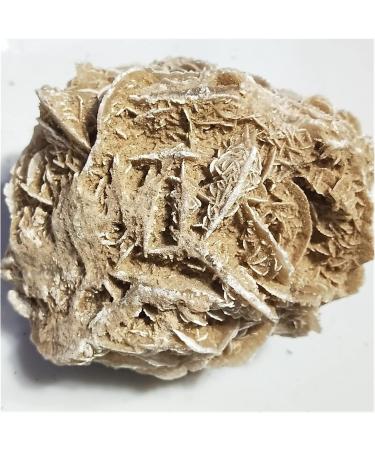 300-600g Natural Desert Rose Stones SeleniteReiki ra Crystal Specimen Rough Sample Cluster fengshui Home Decor ZJGIDTEM (Color : About 300g) - Buy Online on GoSupps.com