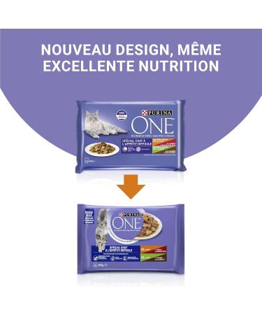 PURINA ONE Cat with Hard Appetite Tapered in Sauce Assorted Flavors Chicken & Beef & Turkey & Duck | Adult Cat Meal Bags | 4 - Buy Online on GoSupps.com