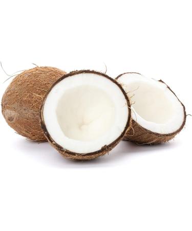 Aroy-D - Aroy-D Lait de Coco 500Ml - Buy Online on GoSupps.com
