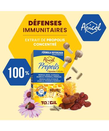 Propolis Capsules 12% Flavonoids | Reinforced Formula With Reishi Echinacea Agaricus | Enriched with Copper Iron Vitamin C and D | 40 Api-Nature Capsules - Buy Online on GoSupps.com