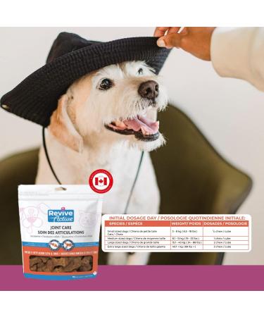 Revive Active Joint Care Soft Chews for Dogs and Cats 90Ct Relieves Inflammation Promotes Optimal Growth and Development Joint Mobility and Good Health. Chews 90ct - Buy Online on GoSupps.com