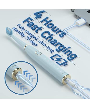 7AM2M Sonic Electric Toothbrush for Adults and Kids - Rechargeable with 8 Brush Heads, 5 Modes, Smart Timer - Fast Charge for 75 Days - Blue - Buy Online on GoSupps.com