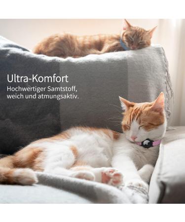 Premium XS Pink Airtag Cat Neck Band - Soft GPS Collar with Bracket & Bell for Young Cats - Buy Online on GoSupps.com