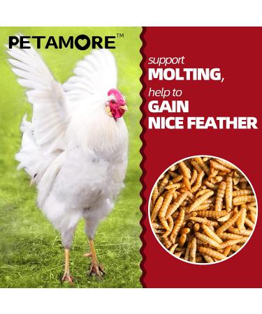 Dried Black Soldier Fly Larvae for Chickens & Poultry - 5 lb Pack | Alternative to Mealworms for Laying Hens, Fowl, Reptiles, and Amphibians - Buy Online on GoSupps.com