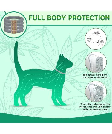Luminous Safety Glow Repellent Collar Adjustable Water Resistant Cat Repellent Collars for Cats Medium Large Puppy 4 Pack Grey - Buy Online on GoSupps.com