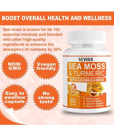 Organic Sea Moss Capsules 2 Pack - New Formula with Turmeric & Ashwagandha - Rich in Iodine - Immune & Digestive Support - Thyroid Supplement - Gut Cleanse - Seamoss Pills - 120 Capsules - Buy Online on GoSupps.com