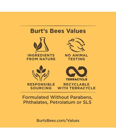 Burt's Bees Natural Lip Shimmer - Watermelon - 4 Pack - Hydrating & Moisturizing - Buy Online on GoSupps.com