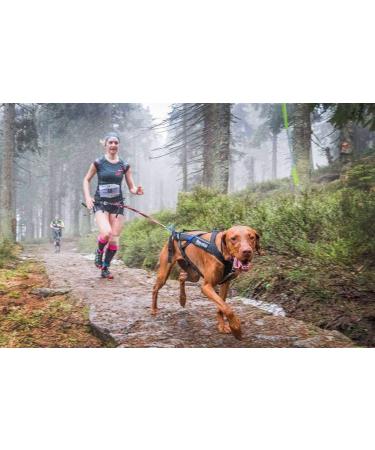 Non-Stop Dogwear Freemotion Harness Size 7 | Black Pulling Harness for Dogs | Head 52cm Neck 44-48cm - International Shipping Available - Buy Online on GoSupps.com