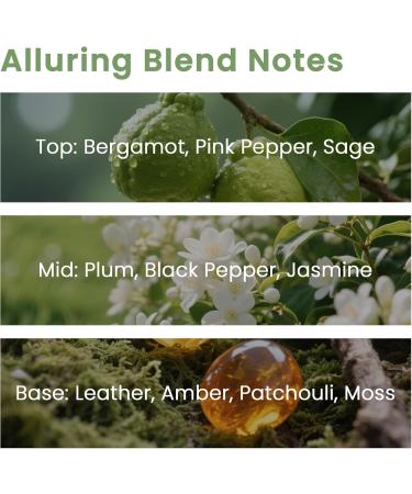 Bergamot & Leather Fragrance Oil ESSLUX Large Single Essential Oil 30ml Aromatherapy Candle Making Scents Middle Eastern Scented Oils for Home for Diffuser Massage Soap Perfume Humidifier - Buy Online on GoSupps.com