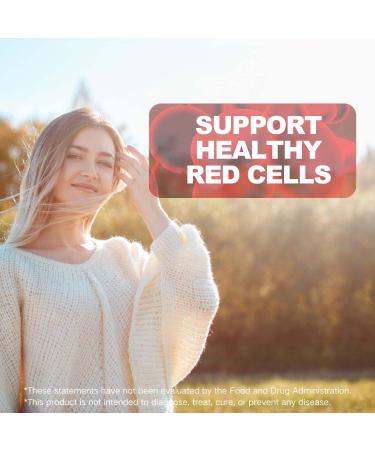 Multi-Vitamin Iron Gummies - Iron Supplement Gummies for Women & Men with Vitamin C B12 & Folate - Energy Support Immune Support - Mixed Flavor No Metallic Aftertaste Vegan 60 Count 60 Count (Pack of 1) - Buy Online on GoSupps.com