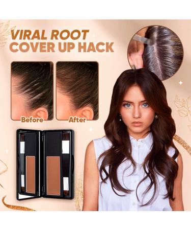 Root Concealer Hairline Powder Stick Hair Concealer Hairline Shadow Powder Waterproof Root Touch-up Temporary Root Concealer (02#) - Buy Online on GoSupps.com