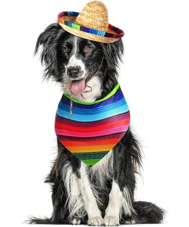 Dog Sombrero Hat & Bandana Set for Cinco De Mayo Fiesta - Multicolor Straw Mexican Hat and Pet Triangle Bib Costume - Buy Online on GoSupps.com