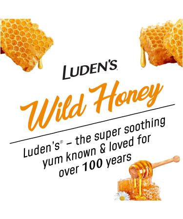 Luden's Pectin Lozenge with Wild Honey - 30 Oral Demulcent Throat Drops | Soothes Cough & Throat Irritation - Buy Online on GoSupps.com