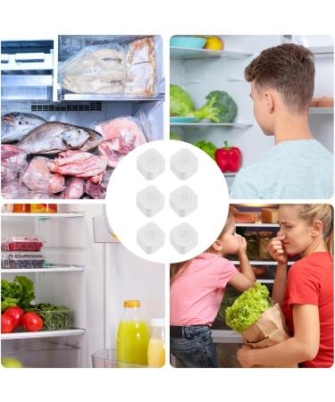 Natural Refrigerator Odor Eliminator | Air Fresheners & Deodorizers for Freshness | Electronic Sterilization & Odor Absorbers for All Refrigerators - Buy Online on GoSupps.com