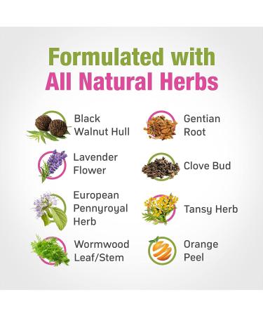Cedar Bear Intestinal Cleanse for Kids - Alcohol-Free Liquid Herbal Supplement for Digestive Detox - Natural Gut Cleanse Drops for Children - 1 fl oz/30 ml - Buy Online on GoSupps.com