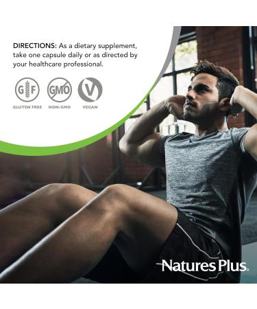 NaturesPlus PRO Longvida Curcumin 500 mg - 60 Capsules - Promotes Healthy Free Radical Protection - Non-GMO Vegan & Gluten Free - 60 Servings - Buy Online on GoSupps.com