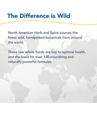 North American Herb & Spice Kid-e-Kare Strawberry Toothpaste 3.4 oz | All-Natural Fluoride-Free Sugar-Free Formula for Kids - Buy Online on GoSupps.com